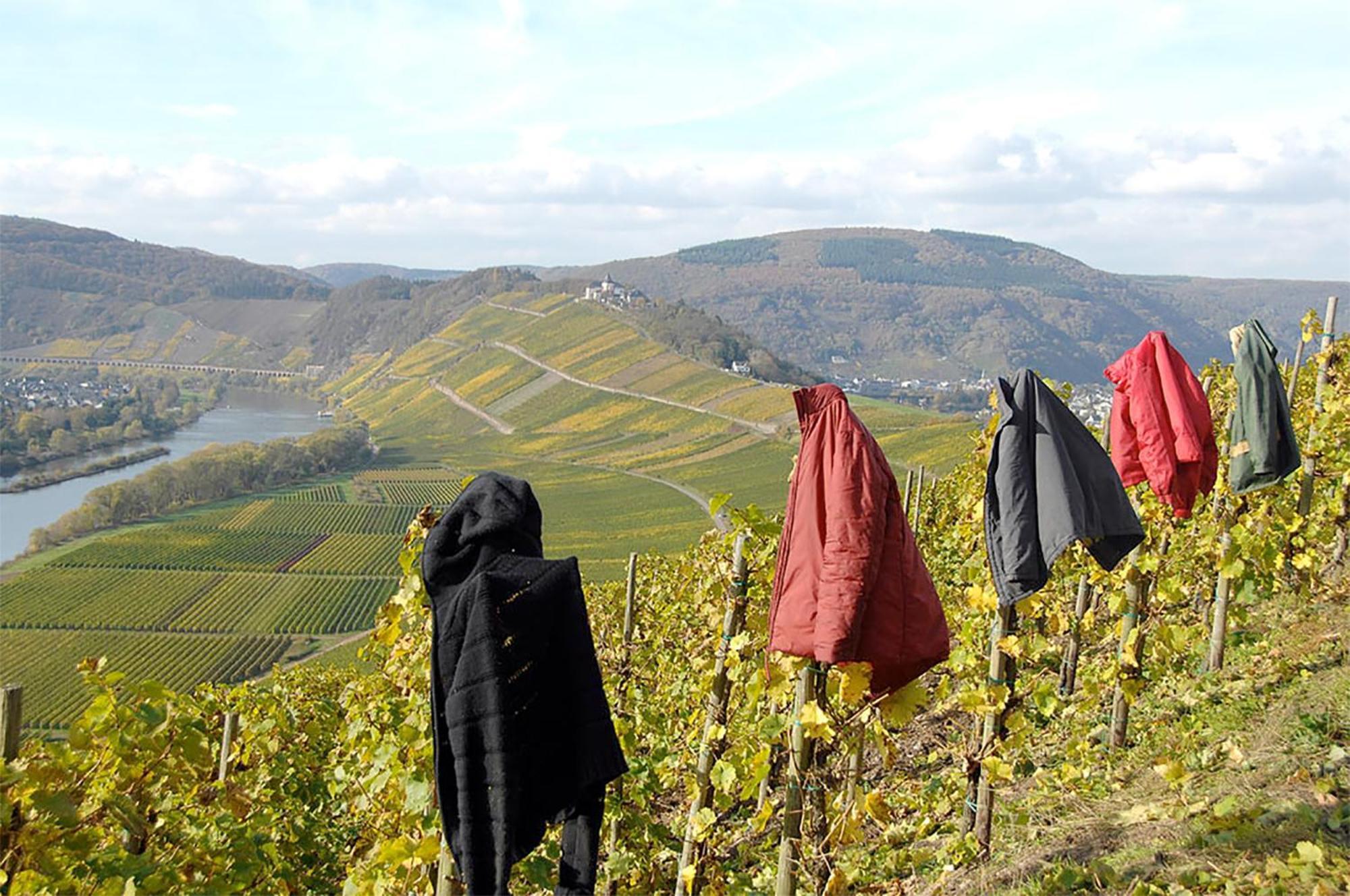 شقة Weingut Rosenbaum بريديل المظهر الخارجي الصورة