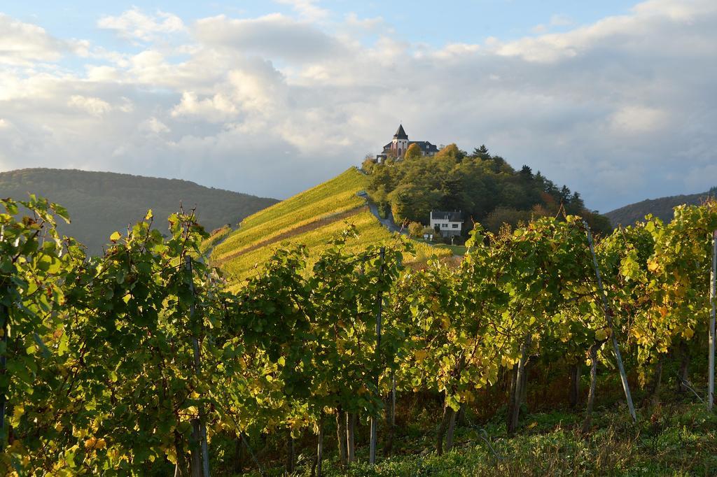شقة Weingut Rosenbaum بريديل المظهر الخارجي الصورة